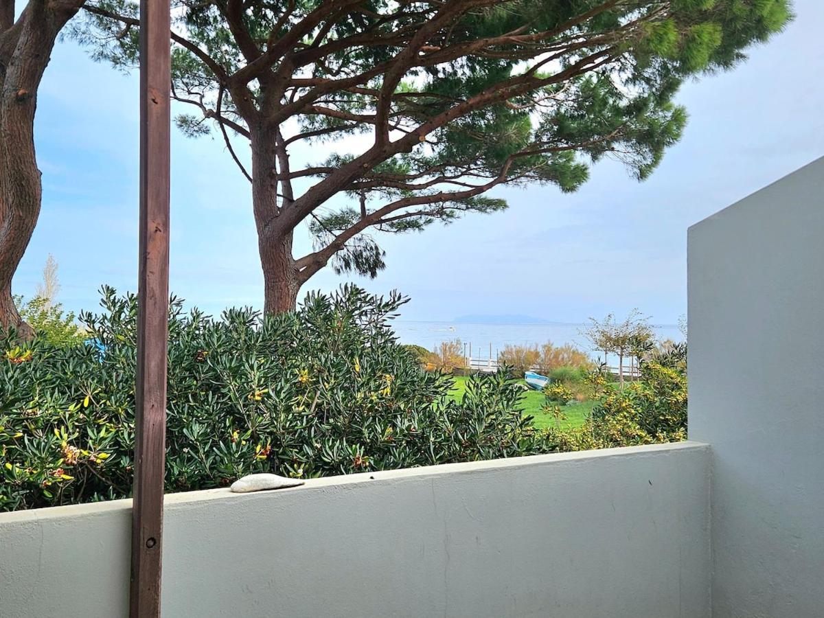 Domaine U Pozzu Apartamento Sisco Exterior foto