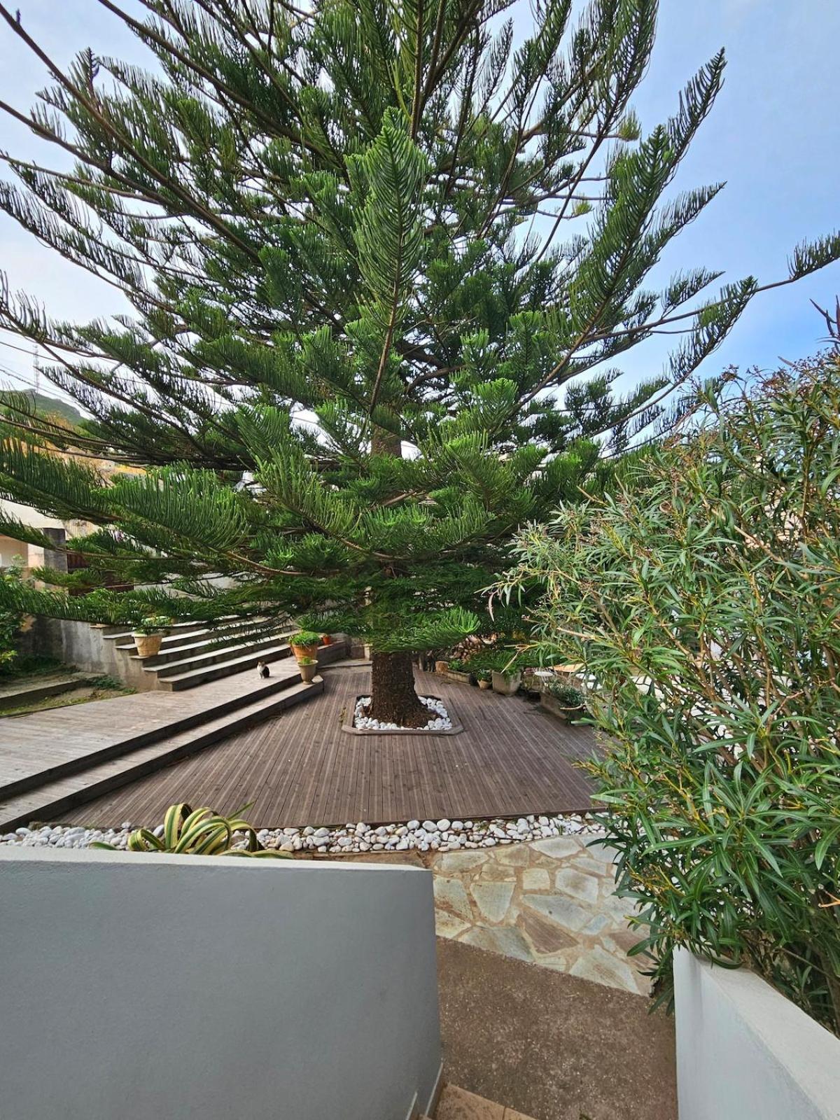 Domaine U Pozzu Apartamento Sisco Exterior foto
